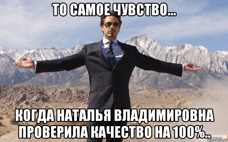 то самое чувство... когда Наталья Владимировна проверила качество на 100%.., Мем железный человек