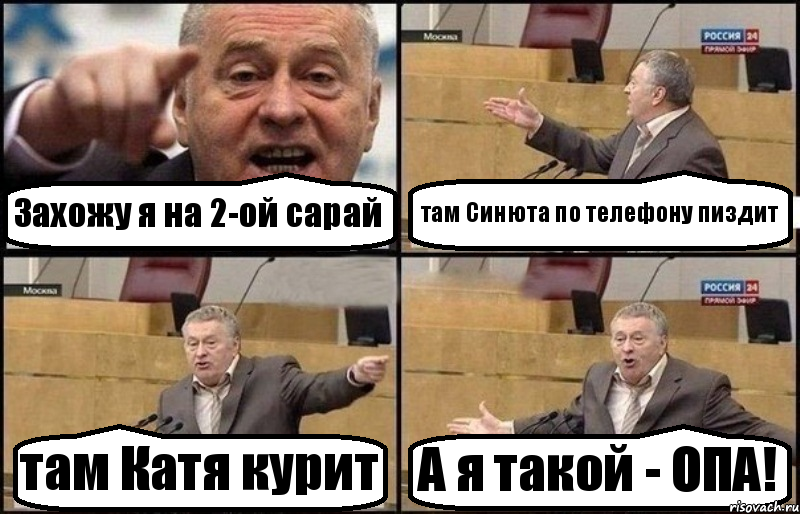 Захожу я на 2-ой сарай там Синюта по телефону пиздит там Катя курит А я такой - ОПА!, Комикс Жириновский