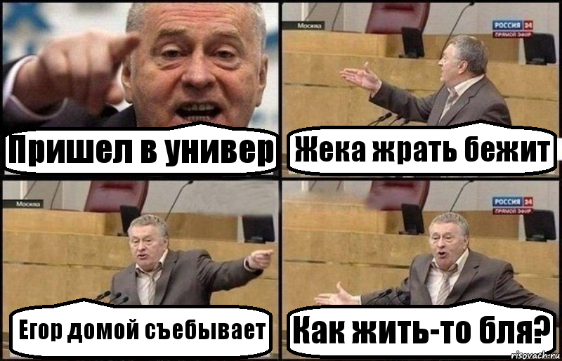 Пришел в универ Жека жрать бежит Егор домой съебывает Как жить-то бля?, Комикс Жириновский