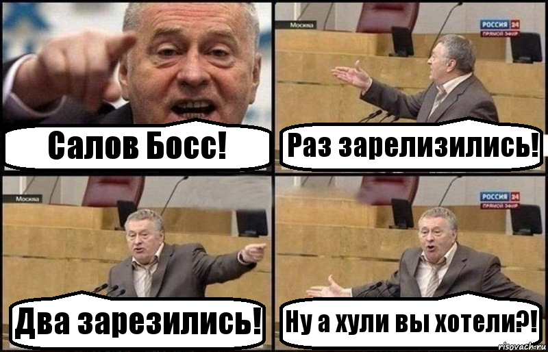 Салов Босс! Раз зарелизились! Два зарезились! Ну а хули вы хотели?!, Комикс Жириновский