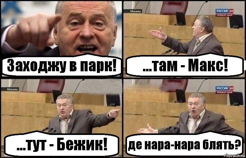 Заходжу в парк! ...там - Макс! ...тут - Бежик! де нара-нара блять?, Комикс Жириновский