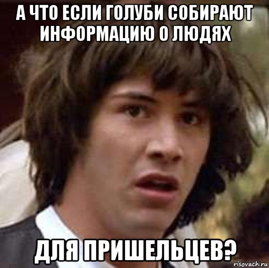 а что если голуби собирают информацию о людях для пришельцев?, Мем А что если (Киану Ривз)