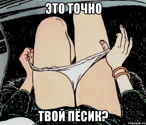 это точно твой пёсик?, Мем А ты точно