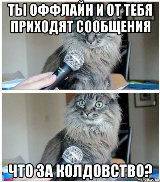 ты оффлайн и от тебя приходят сообщения что за колдовство?, Комикс  кот с микрофоном