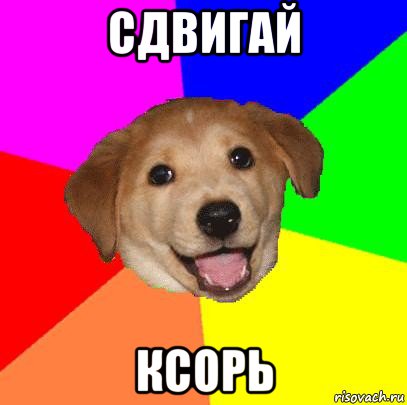 сдвигай ксорь, Мем Advice Dog