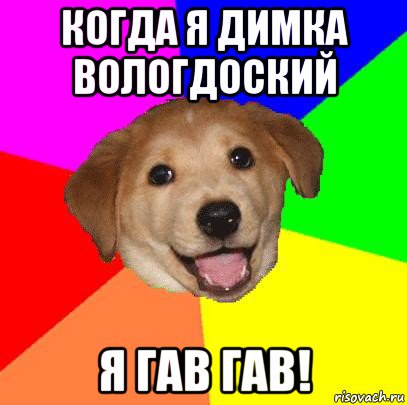 когда я димка вологдоский я гав гав!, Мем Advice Dog