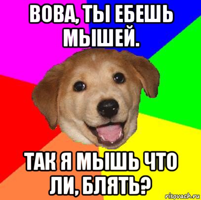 вова, ты ебешь мышей. так я мышь что ли, блять?, Мем Advice Dog