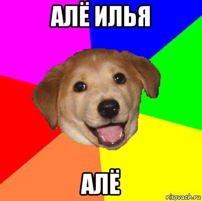 алё илья алё, Мем Advice Dog