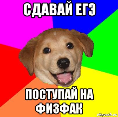 сдавай егэ поступай на физфак, Мем Advice Dog