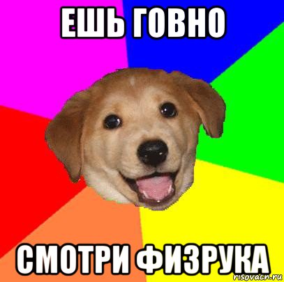 ешь говно смотри физрука, Мем Advice Dog