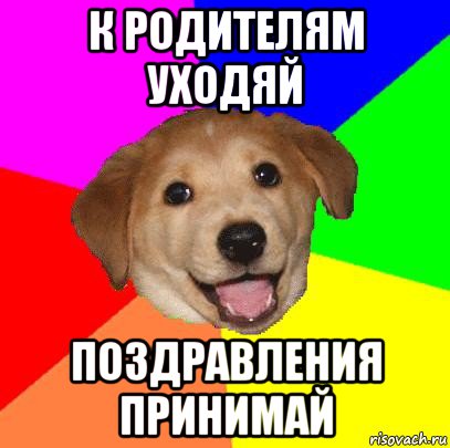 к родителям уходяй поздравления принимай, Мем Advice Dog