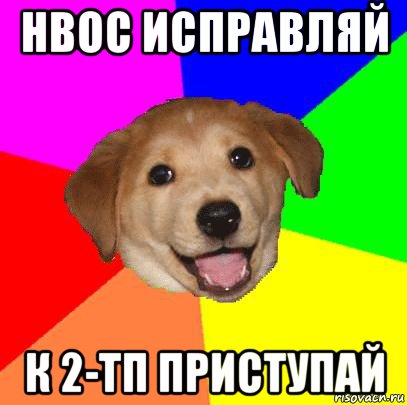 нвос исправляй к 2-тп приступай, Мем Advice Dog