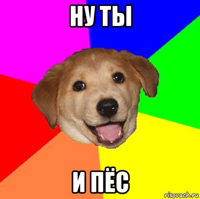 ну ты и пёс, Мем Advice Dog