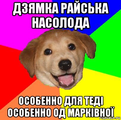 дзямка райська насолода особенно для теді особенно од марківної, Мем Advice Dog