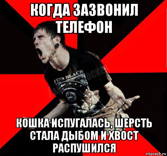 когда зазвонил телефон кошка испугалась, шерсть стала дыбом и хвост распушился, Мем Агрессивный рокер