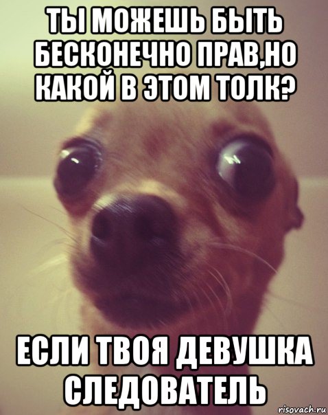 ты можешь быть бесконечно прав,но какой в этом толк? если твоя девушка следователь, Мем  Аргументный аргумент