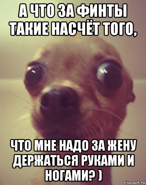 а что за финты такие насчёт того, что мне надо за жену держаться руками и ногами? ), Мем  Аргументный аргумент