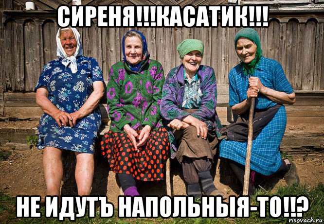 сиреня!!!касатик!!! не идутъ напольныя-то!!?, Мем  Бабки у забора