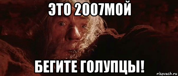 это 2007мой бегите голупцы!, Мем бегите глупцы