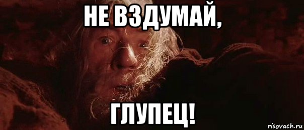 не вздумай, глупец!