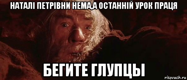 наталі петрівни нема,а останній урок праця бегите глупцы, Мем бегите глупцы