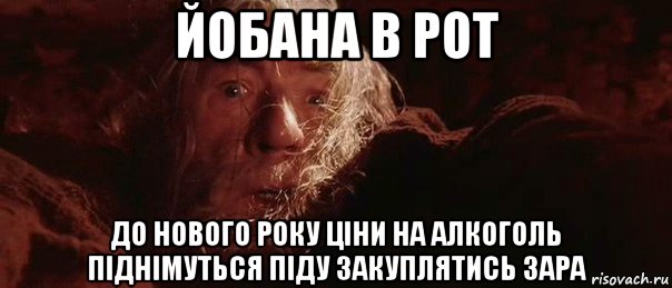 йобана в рот до нового року ціни на алкоголь піднімуться піду закуплятись зара