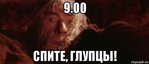 9.00 спите, глупцы!, Мем бегите глупцы