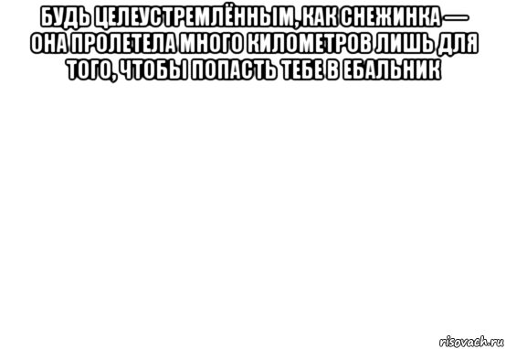 будь целеустремлённым, как снежинка — она пролетела много километров лишь для того, чтобы попасть тебе в ебальник 