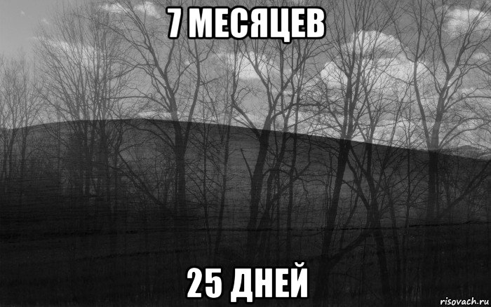 7 месяцев 25 дней, Мем безысходность лес