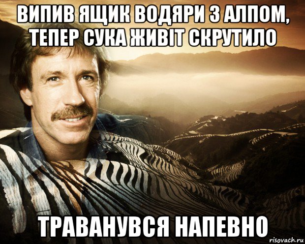 випив ящик водяри з алпом, тепер сука живіт скрутило траванувся напевно, Мем чак норрис