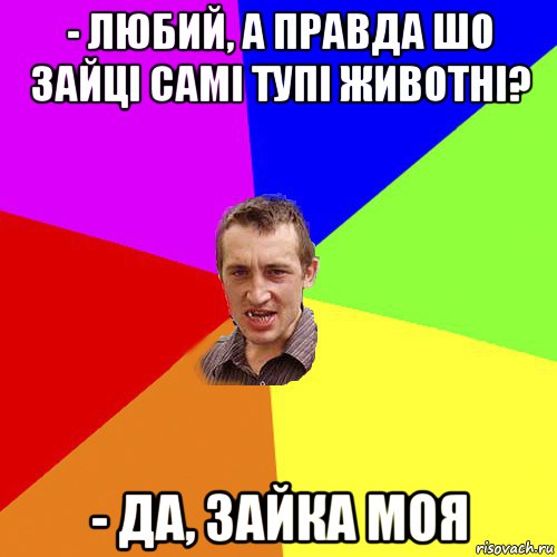 - любий, а правда шо зайці самі тупі животні? - да, зайка моя, Мем Чоткий паца