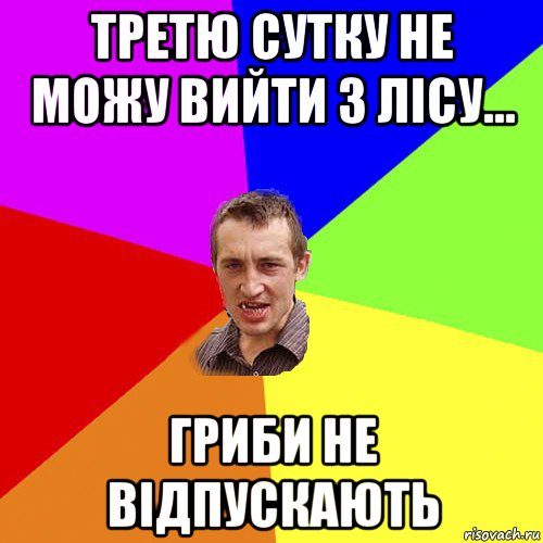 третю сутку не можу вийти з лісу... гриби не відпускають, Мем Чоткий паца