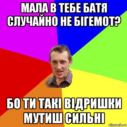 мала в тебе батя случайно не бігемот? бо ти такі відришки мутиш сильні, Мем Чоткий паца