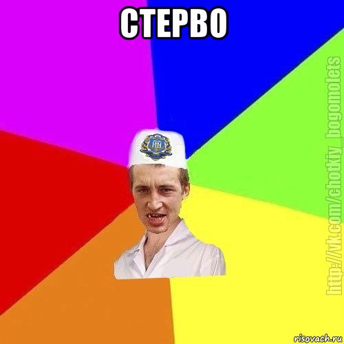 стерво 