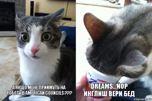 А якщо мене приймуть на роботу в American councils ??? Dreams...Йор инглиш вери бед, Комикс  Да не бред-какой-то (2 зоны)