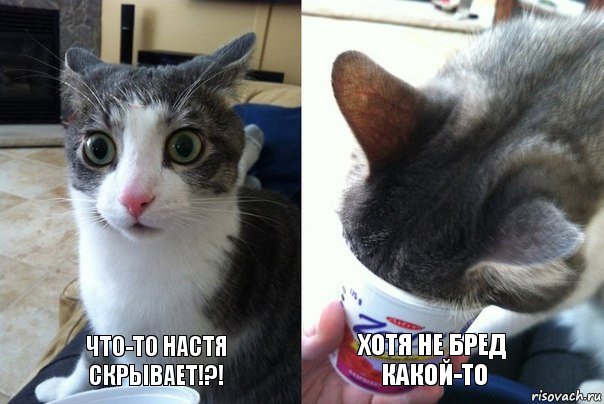 Что-то настя скрывает!?! Хотя не бред какой-то, Комикс  Да не бред-какой-то (2 зоны)