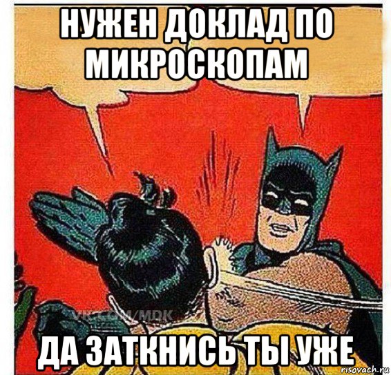 нужен доклад по микроскопам да заткнись ты уже, Комикс   Бетмен и Робин