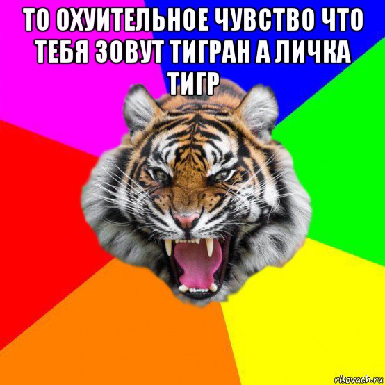 то охуительное чувство что тебя зовут тигран а личка тигр , Мем  ДЕРЗКИЙ ТИГР