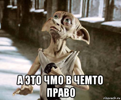  а это чмо в чемто право, Мем добби