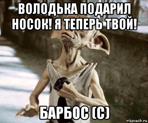 володька подарил носок! я теперь твой! барбос (с), Мем добби