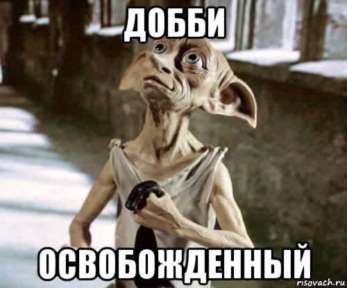добби освобожденный, Мем добби
