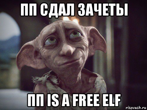 пп сдал зачеты пп is a free elf, Мем    Добби свободен