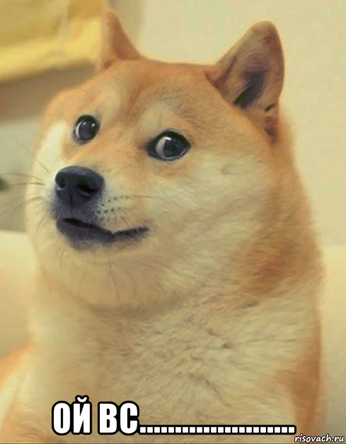  ой вс......................, Мем doge woof