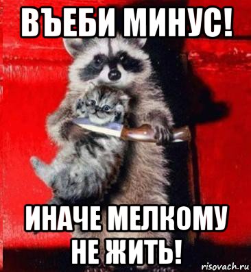 въеби минус! иначе мелкому не жить!, Мем  енот с котенком