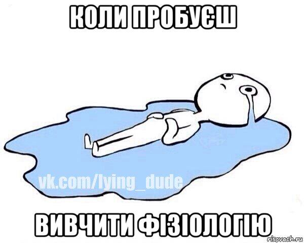 коли пробуєш вивчити фізіологію, Мем Этот момент когда