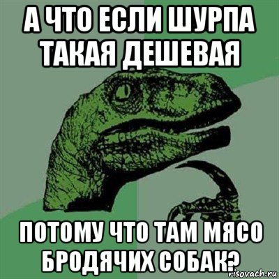 а что если шурпа такая дешевая потому что там мясо бродячих собак?, Мем Филосораптор