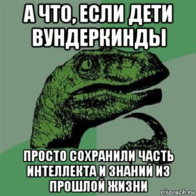 а что, если дети вундеркинды просто сохранили часть интеллекта и знаний из прошлой жизни, Мем Филосораптор