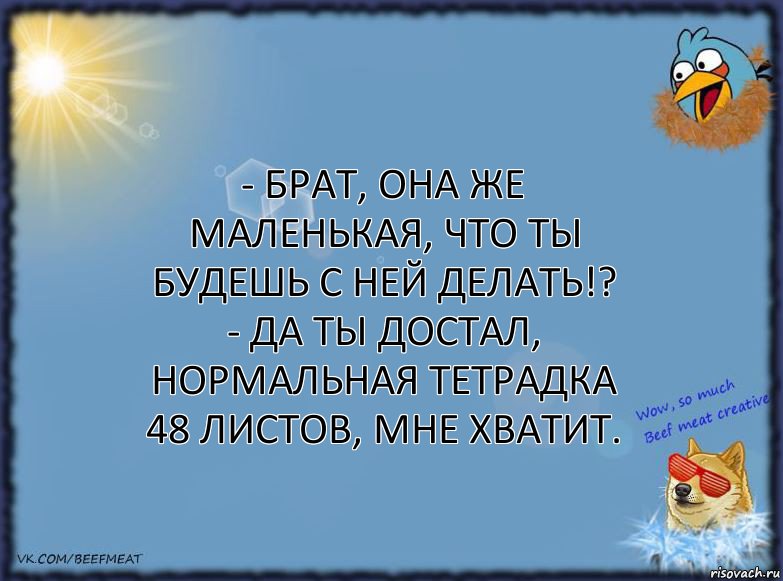 - Брат, она же маленькая, что ты будешь с ней делать!?
- Да ты достал, нормальная тетрадка 48 листов, мне хватит., Комикс ФОН