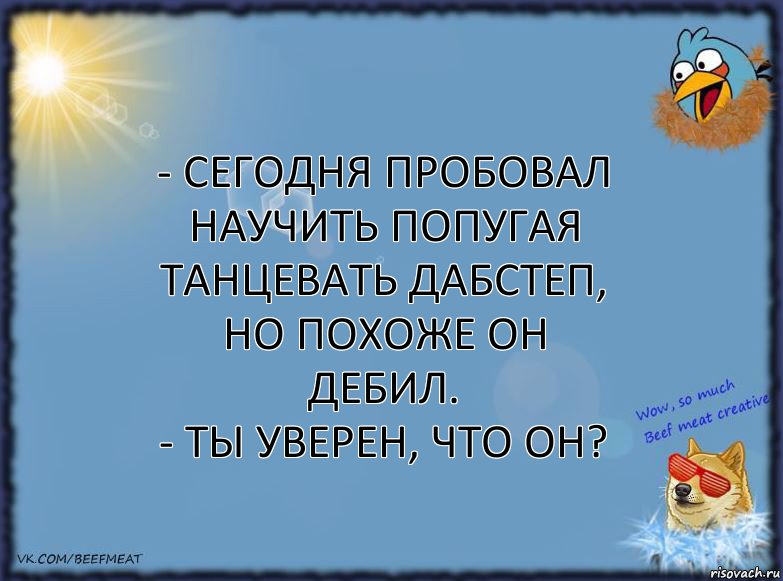 - Сегодня пробовал научить попугая танцевать дабстеп, но похоже он дебил.
- Ты уверен, что он?, Комикс ФОН