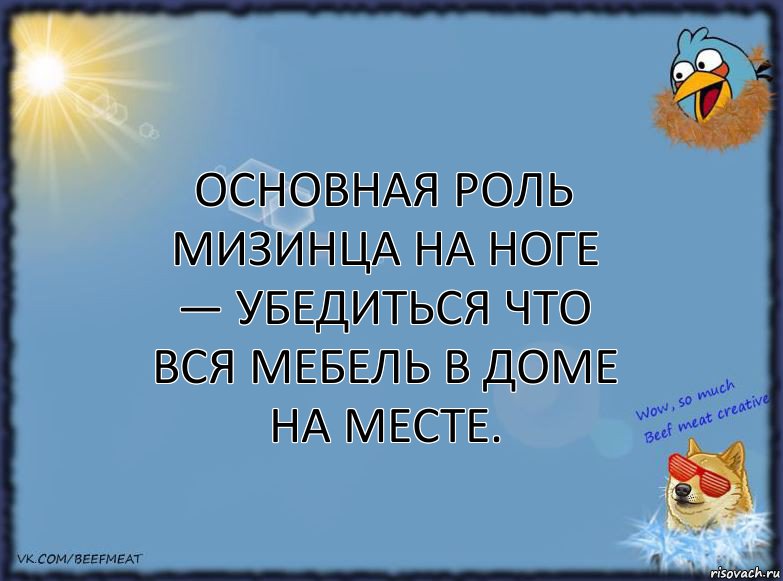 Основная роль мизинца на ноге — убедиться что вся мебель в доме на месте., Комикс ФОН